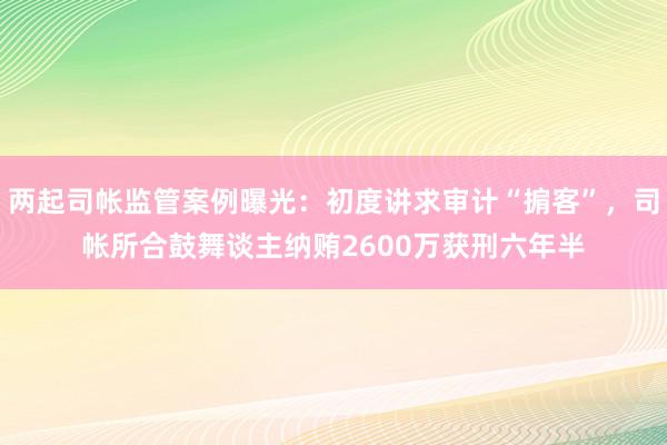 两起司帐监管案例曝光：初度讲求审计“掮客”，司帐所合鼓舞谈主纳贿2600万获刑六年半