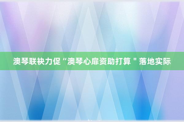 澳琴联袂力促“澳琴心扉资助打算＂落地实际