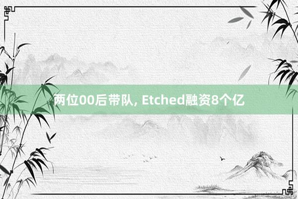 两位00后带队, Etched融资8个亿