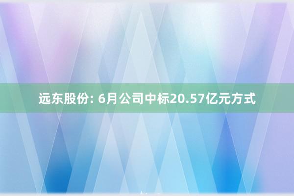 远东股份: 6月公司中标20.57亿元方式