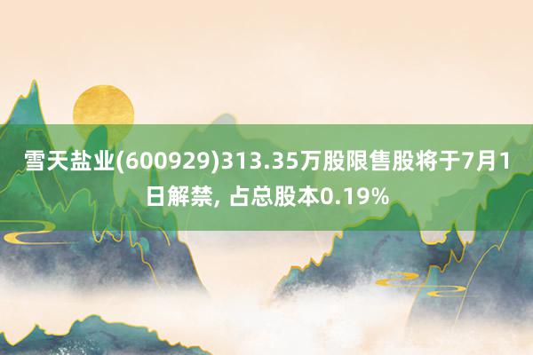 雪天盐业(600929)313.35万股限售股将于7月1日解禁, 占总股本0.19%