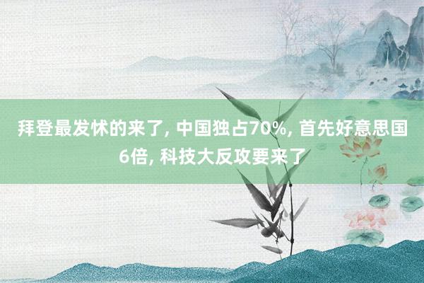 拜登最发怵的来了, 中国独占70%, 首先好意思国6倍, 科技大反攻要来了