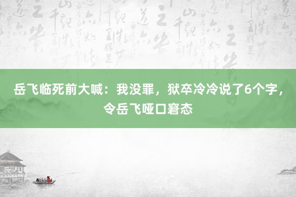 岳飞临死前大喊：我没罪，狱卒冷冷说了6个字，令岳飞哑口窘态