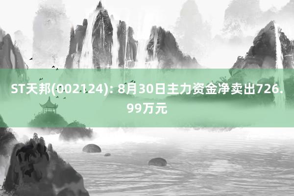 ST天邦(002124): 8月30日主力资金净卖出726.99万元