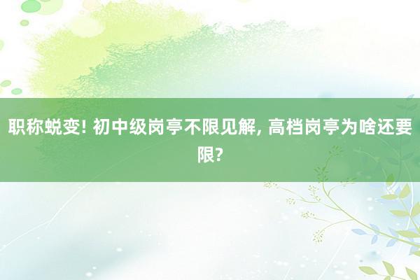 职称蜕变! 初中级岗亭不限见解, 高档岗亭为啥还要限?