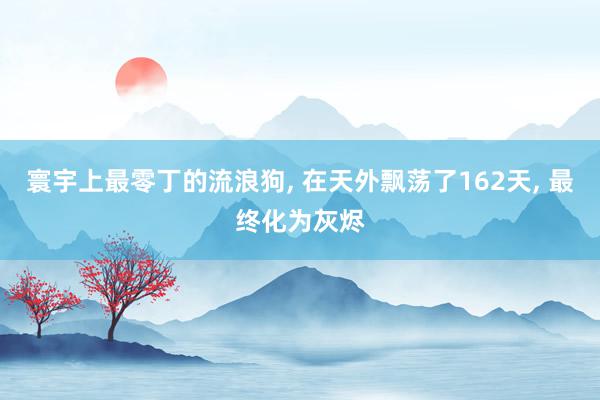 寰宇上最零丁的流浪狗, 在天外飘荡了162天, 最终化为灰烬